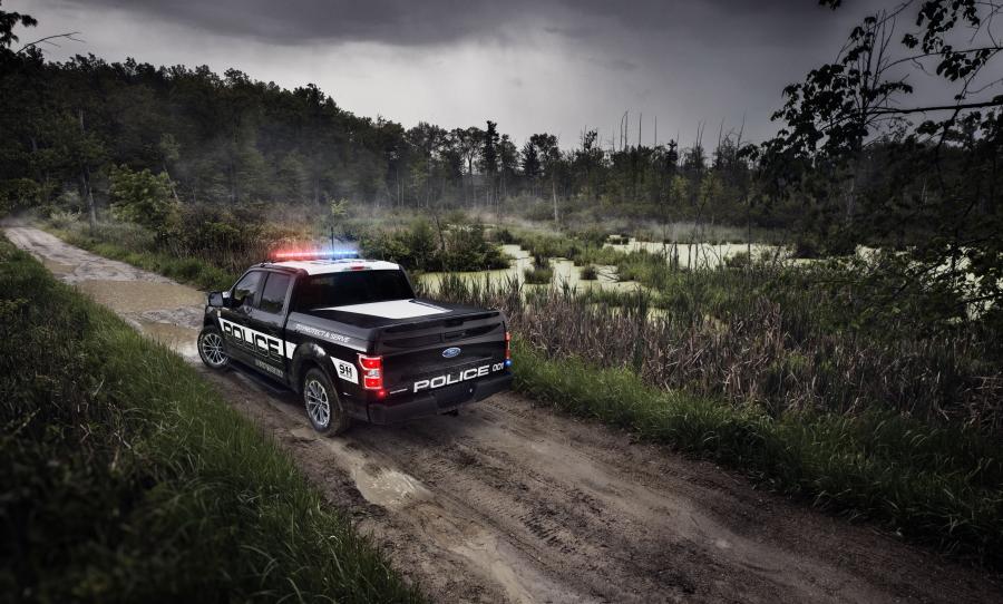  Ford F-150 Police Responder SuperCrew 2017 года  (фото 9 из 9)
